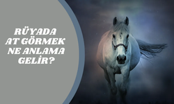 Rüyada At Görmek Ne Anlama Gelir?