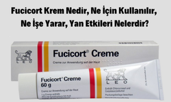 Fucicort krem ne işe yarar? Nasıl kullanılır?