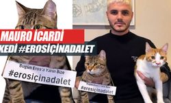 Mauro Icardi'den Vahşice Katledilen Kedi Eros İçin Adalet Çağrısı!