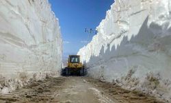 Yüksekova’da 6 metrelik kar tünellerinde zorlu çalışma
