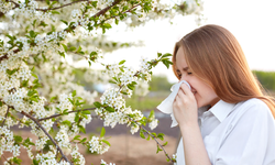 Polen alerjisi nedir, polen alerjisinden korunma yolları nelerdir?