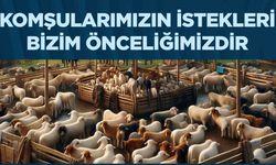 Çekmeköy Soğukpınar’da kurban satış ve kesim alanı kurulmayacak