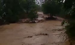 Elazığ’da sağanak yağış etkili oldu: Dereler taştı, tarım arazileri zarar gördü