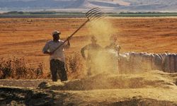 Tarım-ÜFE Nisan’da yıllık yüzde 60,77 arttı