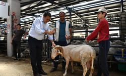 Kurban Kesmek İçin Yer Arayanlara Müjdeli Haber Mersin'in Kurban Kesim Yerleri!