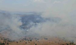 Elazığ’da orman yangını: Ekiplerin havadan ve karadan müdahalesi sürüyor
