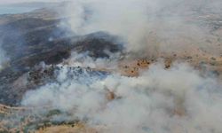 Elazığ’da orman yangınına havadan müdahale sürüyor