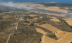 Ezine’de tarım arazisinde başlayan yangın ormanlık alana sıçramadan kontrol altına alındı