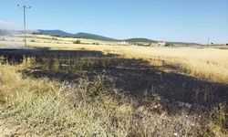 Sinop’ta buğday tarlasında yangın