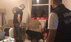 Yalova’da uyuşturucu operasyonlarında: 1 tutuklama