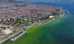 Doğanın Estetik Dansı: İzmir'de Plankton Patlamasıyla Değişen Deniz Manzarası
