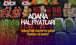 Adana'da Taze Sebzeler ve Meyveler: Günlük Hal Fiyatları Karşılaştırması