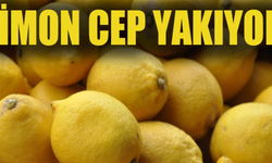 Limon Fiyatlarında Rekor Kırıldı: Tüketici Şokta!