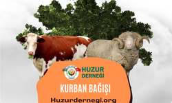 Kurban Bağışı Sıkça Sorulan Sorular