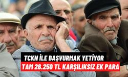 TCKN ile Başvurana 26.250 TL Ek Para! Resmen Açıklandı