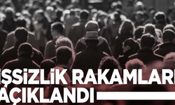 İşsizlikte Endişe Verici Artış: 2024 Temmuz Verileri Açıklandı!