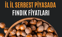 Fındık Fiyatları Üzerine Değerlendirme: Bu Fiyatlar Üreticileri Sevindiriyor mu?