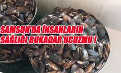 Samsun’da Sağlıksız Midye Üretimine Zabıta Müdahalesi