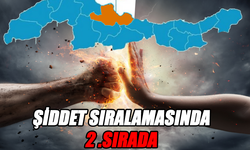 Türkiye'nin Şiddet Haritasında Samsun ikinci sırada!