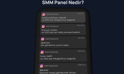 SMM Panel Nedir?