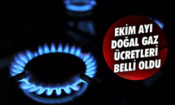 Ekim 2024 Doğal Gaz Fiyatları: BOTAŞ’tan Son Dakika Duyurusu!