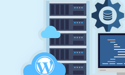 Neden WordPress Hosting Tercih Edilmeli?