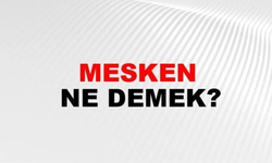 Mesken Kelimesi Ne Anlama Gelir? Tahminleri Alalım…