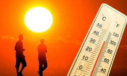 Kasım’da Kar Değil, Sıcak Hava Bekleniyor: Meteorolojik Tahminler Ortaya Çıktı!