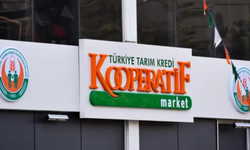 Tarım Kredi Market 20-29 Kasım 2024 Aktüel İndirimleri Başladı!