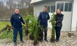 SAMSUN TARIMINDA “YEŞİL YOLDAN YEŞİL BAHÇELERE PROJESİ”