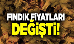 Fındık Fiyatlarına Ocak 2025'te Zam Geldi! Güncel Fiyatlar ve Beklentiler!