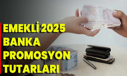 Emekli Promosyonu 2025: Güncel Tutarlar ve En Yüksek Ödemeyi Yapan Bankalar!