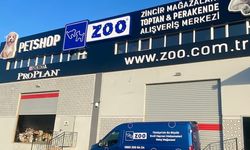 Evcil Hayvan Bakımında ZOO Pet Shop’un Farkını Yaşayın