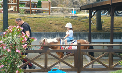 BÜYÜKŞEHİR BİNİCİLİK SPORUNA 11 LİSANSLI SPORCU DAHA KAZANDIRDI