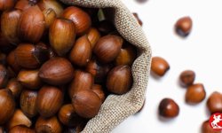 13 Nisan 2026 Fındık Fiyatları: Karadeniz Bölgesi’nde Haftanın İlk Verileri Netleşti