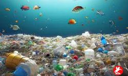Plastiklerin Saçtığı Tehlikelerden Korunmanın En Önemli Yolları