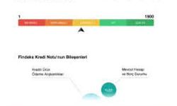 1300 Puan Kredi Çıkar mı?