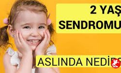2 Yaş Sendromu Nedir?