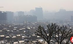 Şehir Havasında Devrim! Trafik Kaynaklı Kirliliği Yapay Zeka ile Anında Hesaplıyorlar
