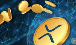 Kripto Takibini Kolaylaştıran Platform: 21 Milyon