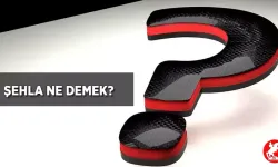 (TDK) Şehla Gözlü Ve Şehla Bakışlı Ne Demektir? Şehla Ne Demek?