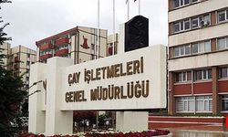 ÇAYKUR'dan Büyük İstihdam Fırsatı! 1500 Kişiye Geçici İş Kapısı Açılıyor