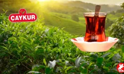 1500 Kişilik Alım Yolda! ÇAYKUR İşçi Alımı 2025 Kılavuzu Hazır, Peki İlan Neden Hâlâ Yayımlanmadı?