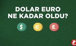 Samsun'da Doları ve Eurosu Olanlar Ne Yapmalı? Bozmalı mı, Beklemeli mi?