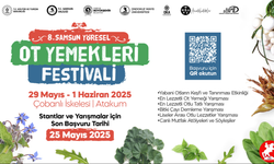 SAMSUN’DA YÖRESEL OT YEMEKLERİ FESTİVALİ BAŞLIYOR