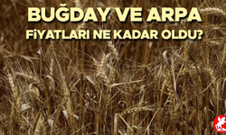 📉 Arpa ve Makarnalık Buğdayda Fiyat Düşüşü, Yulaf Geriledi: İşte Güncel Ton Başına Rakamlar