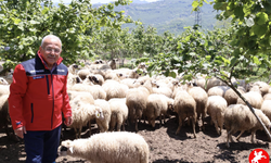 BAŞKAN GÜLER: “DAĞITIMINI YAPTIĞIMIZ HAYVANLARI KENDİMİZ YETİŞTİRİYORUZ”