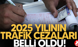 ⚖️ Ehliyete El Konuluyor, Cezalar Katlandı: İşte 2025 Trafik Kuralları ve Para Cezaları Listesi