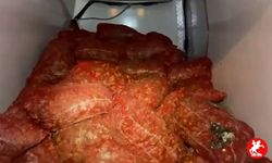 🚨 Samsun'da 2,9 Ton Kaçak Midye Ele Geçirildi: Cezalar Yağdı!