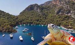Göcek Koylarında Müzik Yasaklandı! Sessizlikle Gelen Yeni Dönem Tepki Topladı